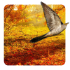 Autumn Live Wallpaper Giveaway