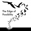 The Edge of Possibility Giveaway