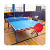 Table Tennis Touch Giveaway