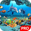 Fish Live Wallpaper 3D Aquarium Background HD :PRO Giveaway