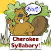 Cherokee Syllabary Giveaway