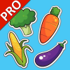 Vegetable Flashcards V2 PRO Giveaway