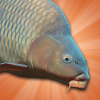 Carp Fishing Simulator - Pike, Perch & More Giveaway