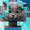 PicPu - Cat Picture Puzzle Giveaway