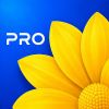Gallery - Photo Video Giveaway