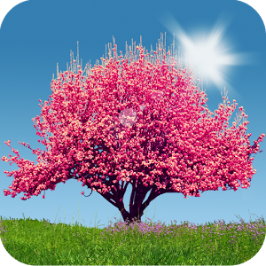 Spring Trees Giveaway