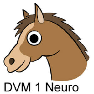 DVM 1st Yr Quiz - Neurology Giveaway