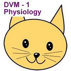 DVM 1st Yr Quiz - Physiology Giveaway