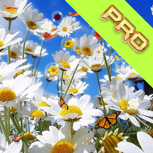 Flowers Pro Live Wallpaper Giveaway
