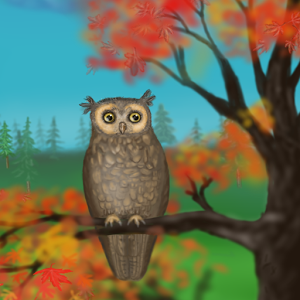 Owl of a Season Live Wallpaper Giveaway