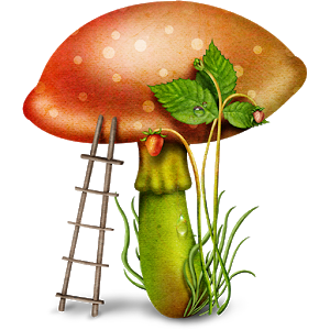 Edible mushroom - Photos Giveaway
