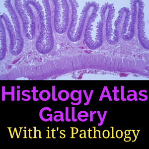 Histology Atlas Gallery 2020 Giveaway