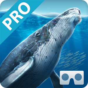 Sea World VR2(Pro) Giveaway