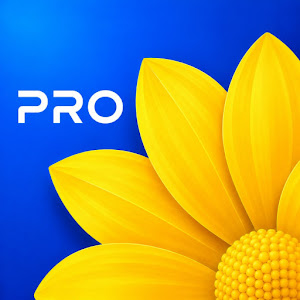 Gallery - Photo Video Giveaway